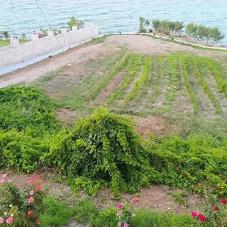 St Harry's Windmill - Seafront