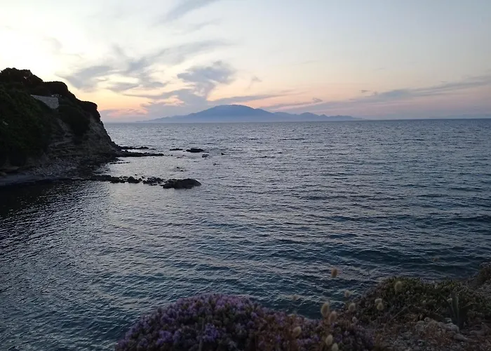 公寓 St. Harry's Windmill 查加基恩