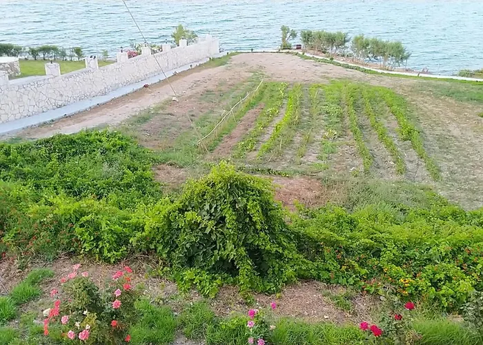 St. Harry's Windmill