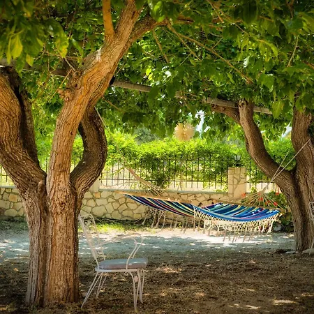 St. Harry's Windmill דירה